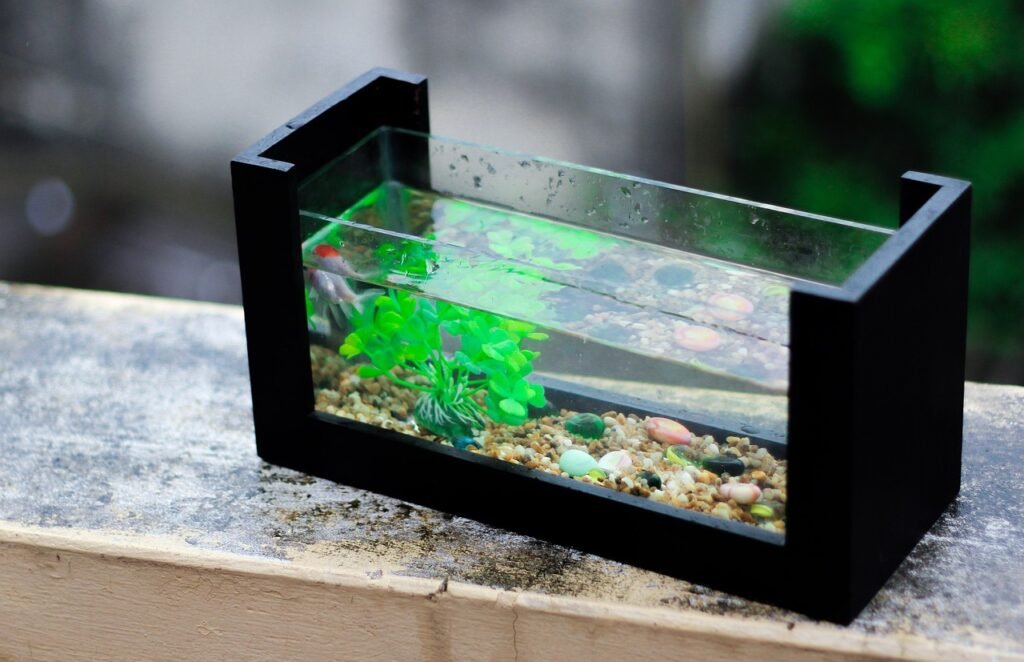 Creating a Themed Aquarium: Ideas and Inspiration