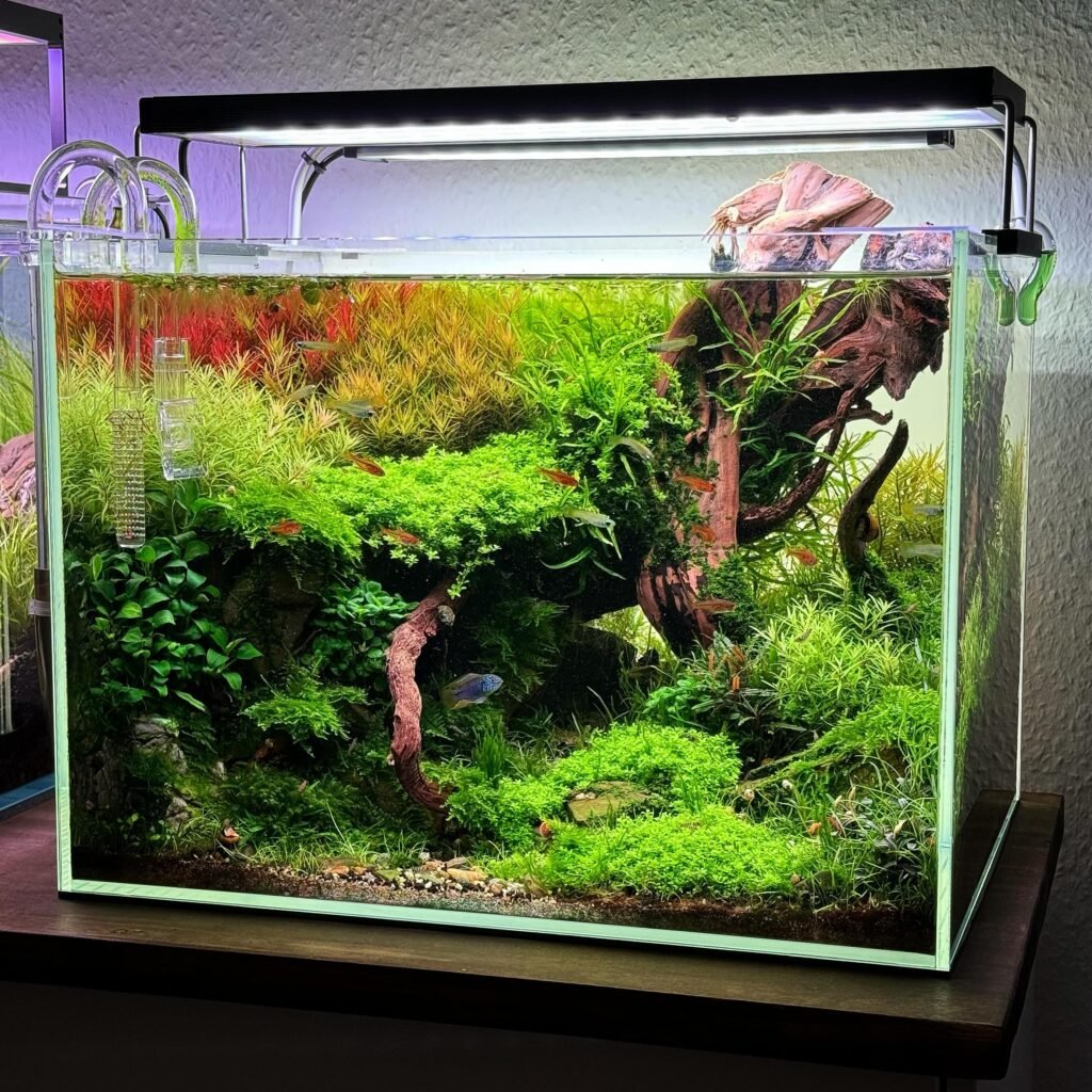 How to Perform a Complete Aquarium Overhaul